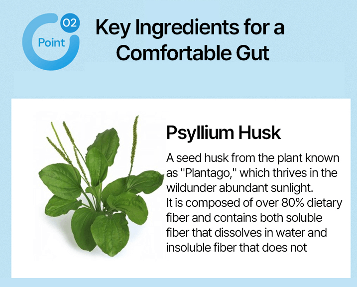Key ingredients for a comfortable gut featuring Psyllicium Husk plant known for its high dietary fiber content.