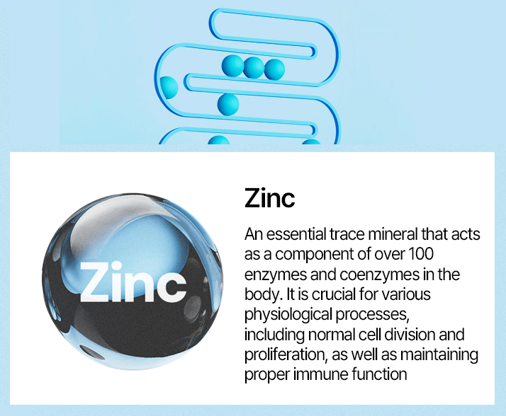 Illustration of Zinc, an essential trace mineral vital for enzymes, immune function, and cell division.