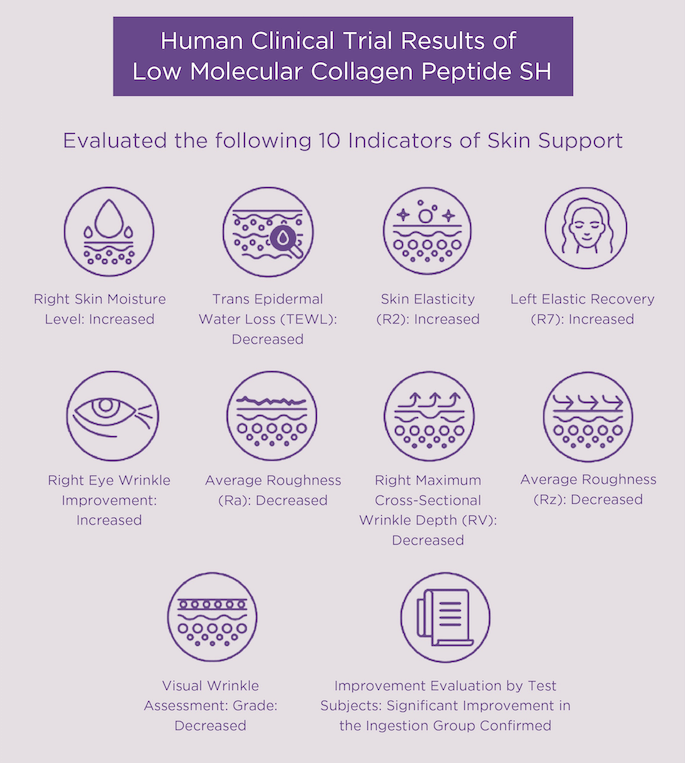 Infographic showing human clinical trial results of low molecular collagen peptides for skin support indicators.