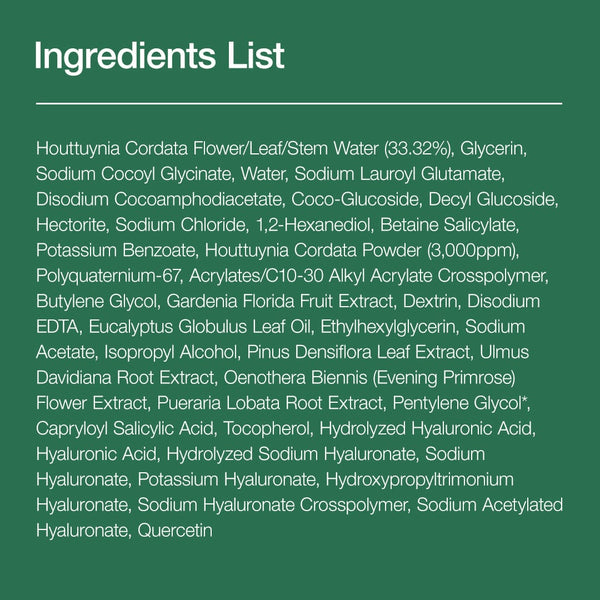 Anua Heartleaf Quercetinol Pore Deep Cleansing Foam ingredients list including Houttuynia Cordata and other key components.