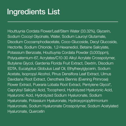 Anua Heartleaf Quercetinol Pore Deep Cleansing Foam ingredients list including Houttuynia Cordata and other key components.