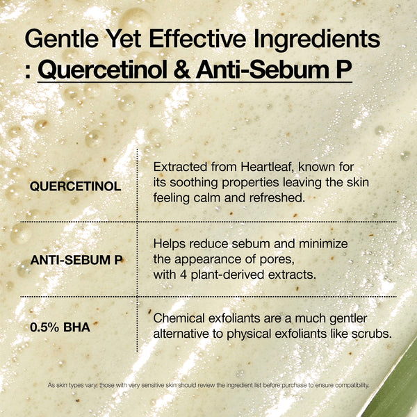 Gentle ingredients in Anua Heartleaf Quercetinol Pore Deep Cleansing Foam including Quercetinol, Anti-Sebum P, and 0.5% BHA.