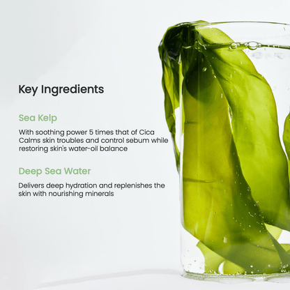 Biodance Refreshing Sea Kelp Real Deep Mask key ingredients: Sea Kelp and Deep Sea Water for skincare.