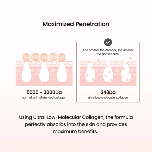 Maximized penetration of Biodance Pore Tightening Collagen Cream showing ultra-low-molecular collagen absorption.