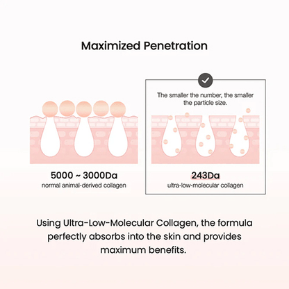 Maximized penetration of Biodance Pore Tightening Collagen Cream showing ultra-low-molecular collagen absorption.