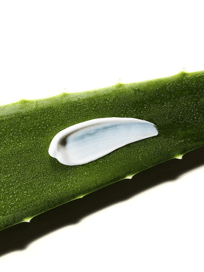 COSRX Aloe Soothing Sun Cream SPF50 on aloe leaf, showcasing Korean skincare benefits and lightweight texture.