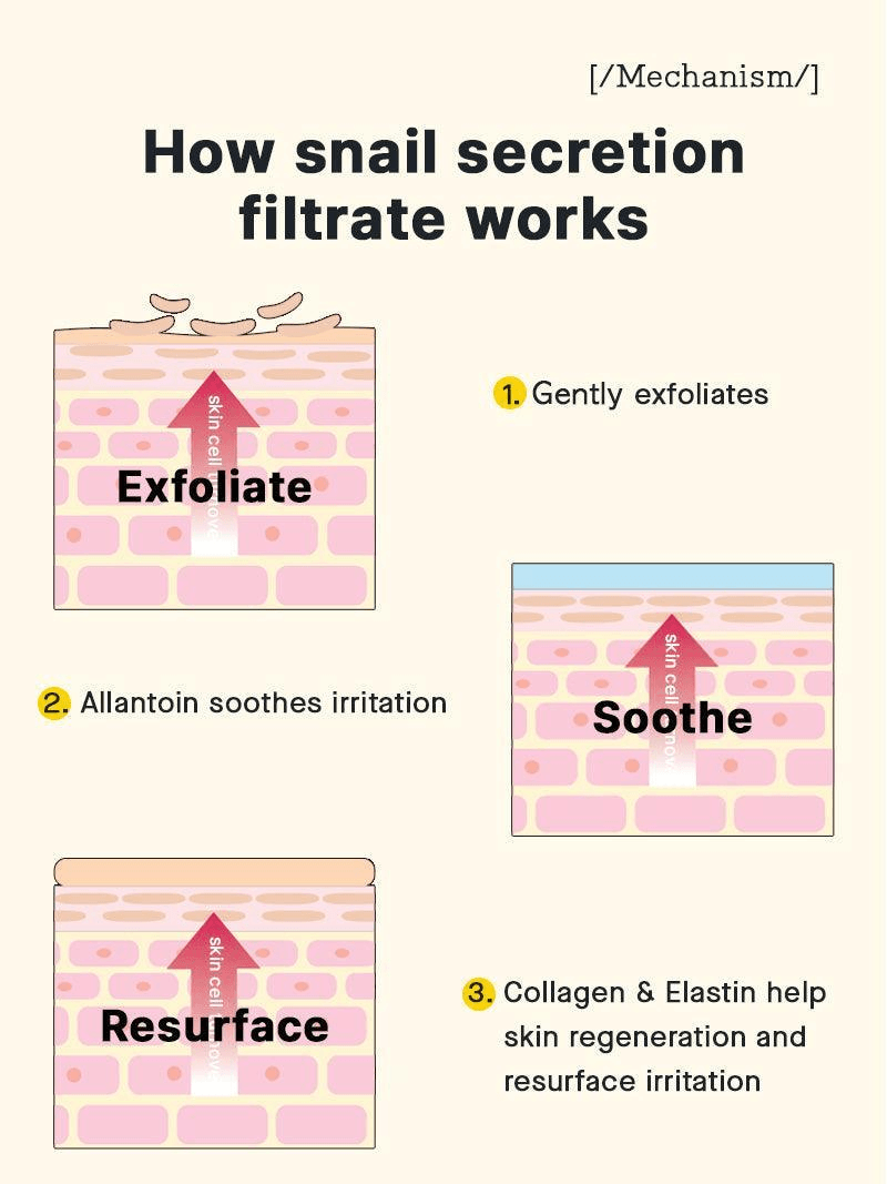 How snail secretion filtrate works to exfoliate, soothe, and resurface skin with COSRX Advanced Snail 92 All in One Cream.