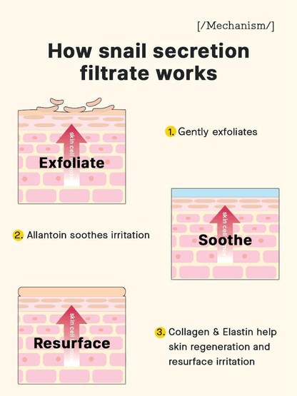 How snail secretion filtrate works for skin: exfoliates, soothes, and resurfaces, enhancing Korean skincare benefits.