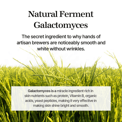 mixsoon Galactomyces Essence with smooth, white texture and nutrient-rich properties for bright and smooth skin.